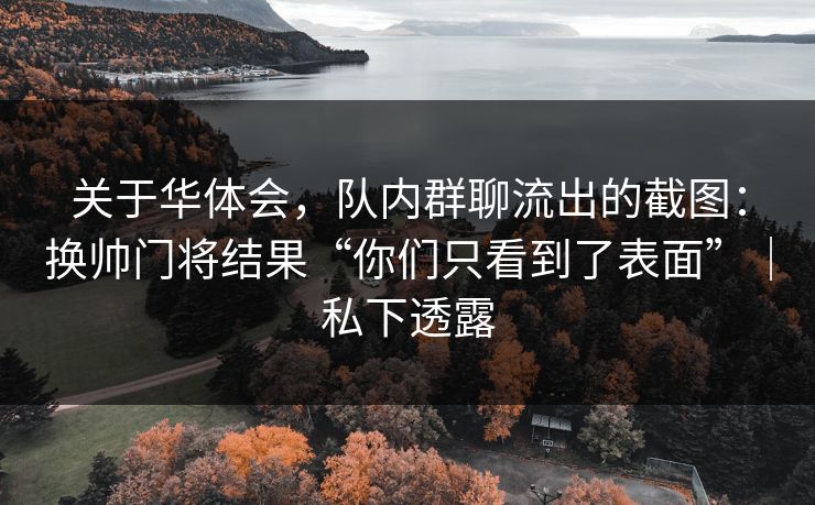 关于华体会，队内群聊流出的截图：换帅门将结果“你们只看到了表面”｜私下透露