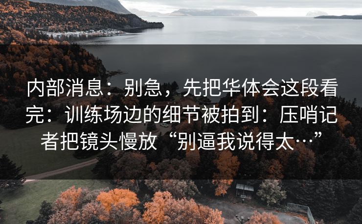 内部消息：别急，先把华体会这段看完：训练场边的细节被拍到：压哨记者把镜头慢放“别逼我说得太…”