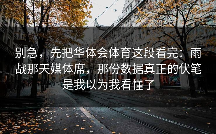 别急，先把华体会体育这段看完：雨战那天媒体席，那份数据真正的伏笔是我以为我看懂了