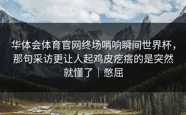 华体会体育官网终场哨响瞬间世界杯，那句采访更让人起鸡皮疙瘩的是突然就懂了｜憋屈