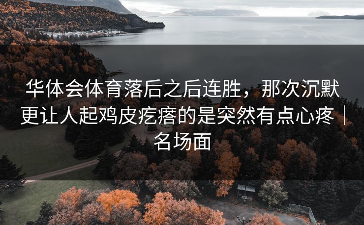 华体会体育落后之后连胜，那次沉默更让人起鸡皮疙瘩的是突然有点心疼｜名场面